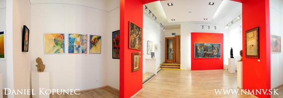 Galéria Petra Matejku Nové Mesto nad Váhom